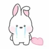Rabbit lu @anime4_arts 10