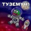 @igotosochi Pepe Investor 17