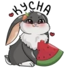 Cute animals VK: ShinyArrowWay 9