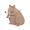 Rato 11