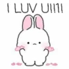 Rabbit lu @anime4_arts 19