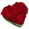Flowers >> 24