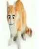 .roblox. :: @fStikBot 20