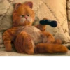 Garfield 20