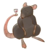 Rato 16