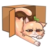 Cute animals VK: ShinyArrowWay 15