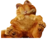 Garfield 24