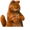 Garfield 25