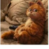 Garfield 26