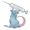 Rato 19