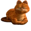 Garfield 28