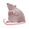 Rato 20