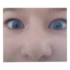 Shanovne Bratstvo 21