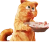 Garfield 30