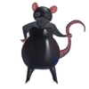 Rato 21