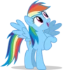 Rainbow Dash Pony 5
