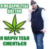chatbot007 6