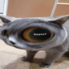 Охуел?