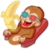 Mona Monkey 8