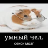 разнообразие от @waffle_nikki 11