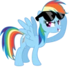 Rainbow Dash Pony 13