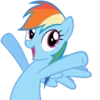 Rainbow Dash Pony 14