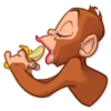 Mona Monkey 14