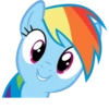 Rainbow Dash Pony 16