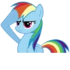 Rainbow Dash Pony 19