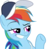 Rainbow Dash Pony 21