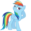 Rainbow Dash Pony 22