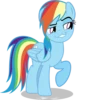 Rainbow Dash Pony 23