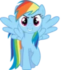 Rainbow Dash Pony 24