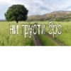 ни грусти бро