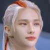 StrayKids 27