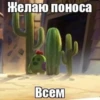 Желаю поноса BCEM