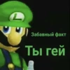 L Забавный факт Ты гей