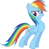 Rainbow Dash Pony 29
