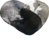 valentinki 5