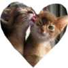 valentinki 6