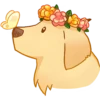 Perritos bonitos💞6🇵🇪Clásica 6