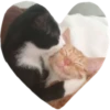 valentinki 9
