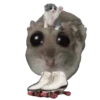 Hamster Sad 2 💖C☆ 5