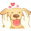 Perritos bonitos💞6🇵🇪Clásica 9