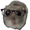 Hamster Sad 1 💖C☆ 9