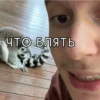 Kisselo1 11