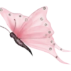 Cute(Variados)💞2🇵🇪Clásica 9