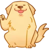 Perritos bonitos💞6🇵🇪Clásica 12