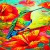 COLIBRI Y MAS 9