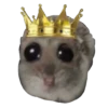 Hamster Sad 2 💖C☆ 6